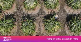 500 ngày để ngành nông, lâm thủy sản kiếm 100 tỷ USD