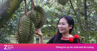 500 xe chở sầu riêng sắp diễu hành ở Đắk Lắk