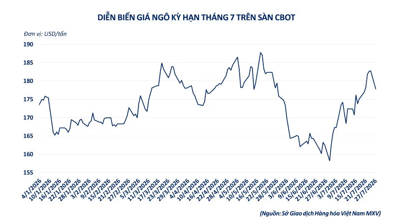 Áp lực bán mạnh vào cuối phiên, chỉ số MXV-Index rời khỏi vùng 2.800 điểm