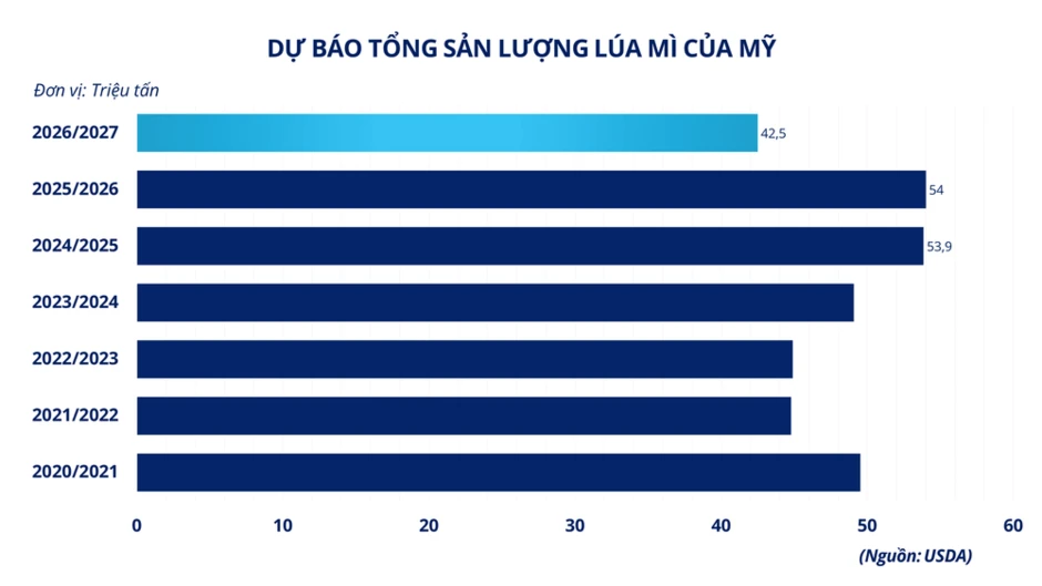 Áp lực nguồn cung trở lại thị trường lúa mì