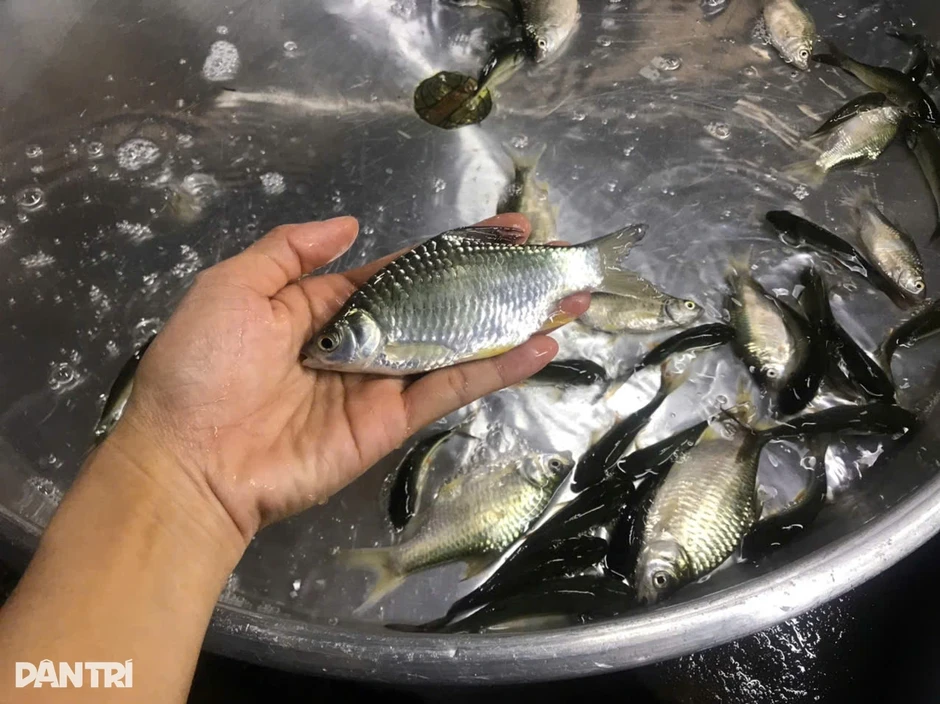 Bà nội trợ đang mua gì khi đi chợ truyền thống? Bà nội trợ đang mua gì khi đi chợ truyền thống?