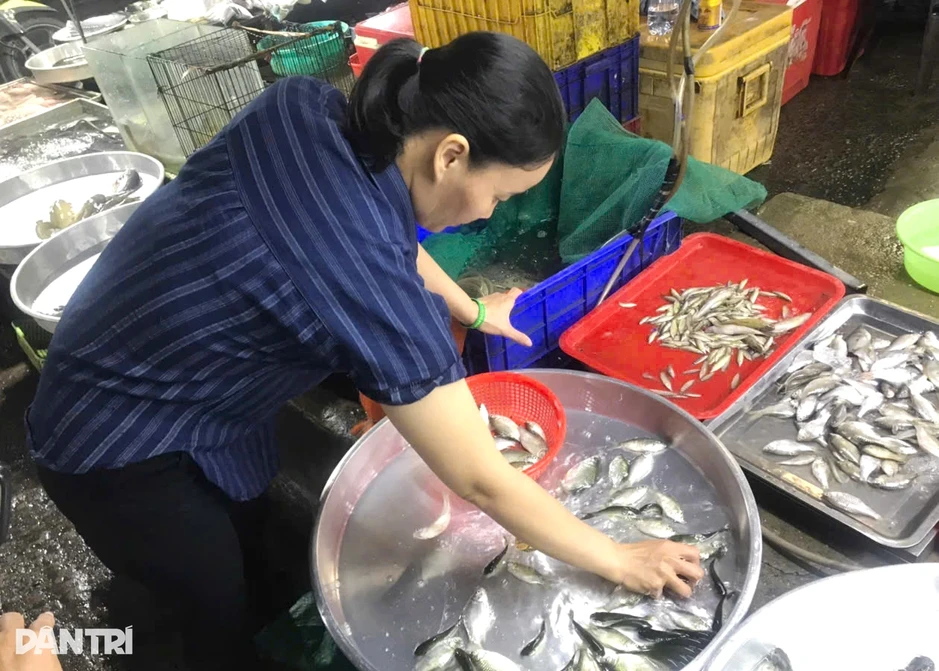 Bà nội trợ đang mua gì khi đi chợ truyền thống? Bà nội trợ đang mua gì khi đi chợ truyền thống?