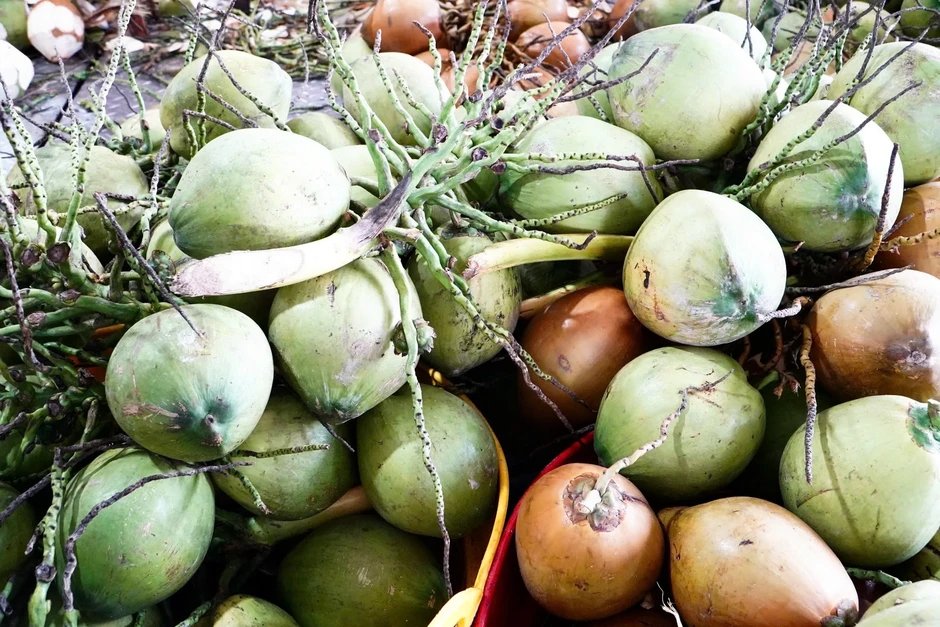 'Bài toán' lớn nhất với sầu riêng Việt Nam tại Trung Quốc 'Bài toán' lớn nhất với sầu riêng Việt Nam tại Trung Quốc