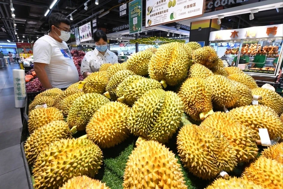 'Bài toán' lớn nhất với sầu riêng Việt Nam tại Trung Quốc 'Bài toán' lớn nhất với sầu riêng Việt Nam tại Trung Quốc