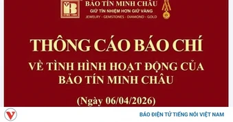 Bảo Tín Minh Châu thông tin về hoạt động và lãnh đạo công ty