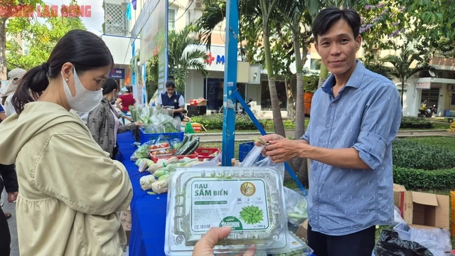 Bất ngờ về loại rau 350.000 đồng/kg vẫn được người ở TPHCM xem là “rẻ” Bất ngờ về loại rau 350.000 đồng/kg vẫn được người ở TPHCM xem là “rẻ”