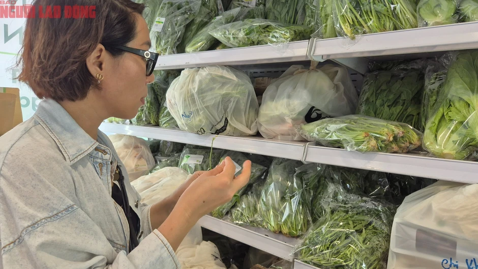 Bất ngờ về loại rau 350.000 đồng/kg vẫn được người ở TPHCM xem là “rẻ” Bất ngờ về loại rau 350.000 đồng/kg vẫn được người ở TPHCM xem là “rẻ”