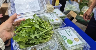 Bất ngờ về loại rau 350.000 đồng/kg vẫn được người ở TPHCM xem là “rẻ”