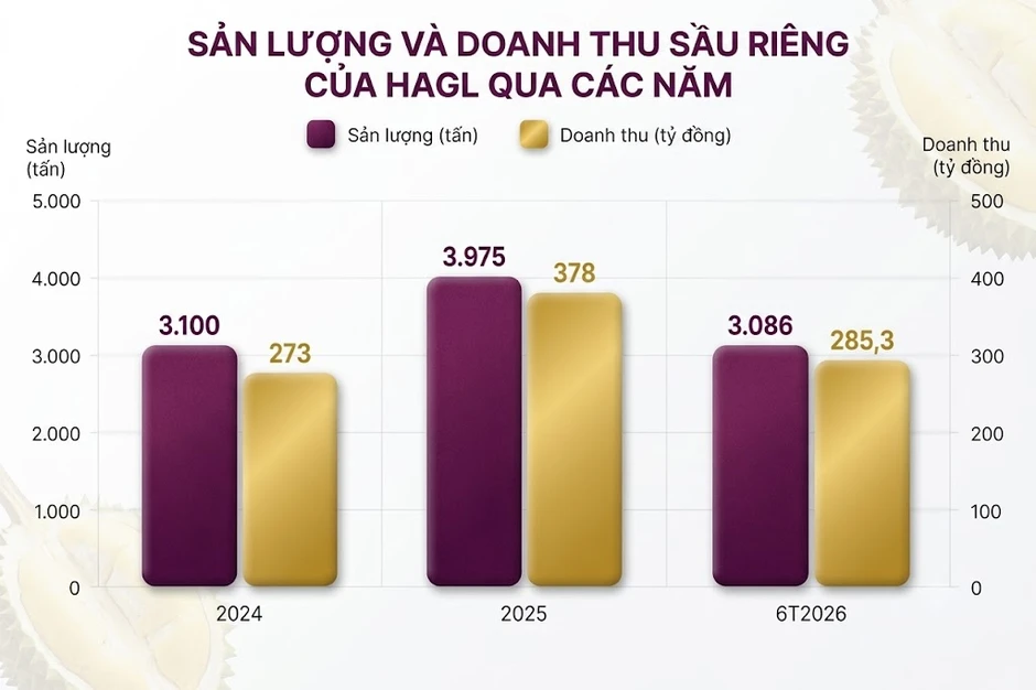 Bầu Đức trồng một loại cây 'bán giá nào cũng lãi': bội thu 7.500 tấn, sản lượng gấp 2 lần cả năm trước Bầu Đức trồng một loại cây 'bán giá nào cũng lãi': bội thu 7.500 tấn, sản lượng gấp 2 lần cả năm trước