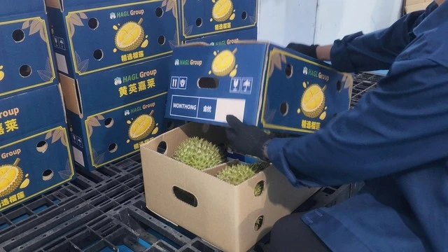Bầu Đức trồng một loại cây 'bán giá nào cũng lãi': bội thu 7.500 tấn, sản lượng gấp 2 lần cả năm trước Bầu Đức trồng một loại cây 'bán giá nào cũng lãi': bội thu 7.500 tấn, sản lượng gấp 2 lần cả năm trước