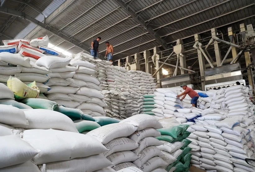 Bị sa thải vì giám định lô gạo gây thiệt hại tiền tỷ, người lao động thua kiện Bị sa thải vì giám định lô gạo gây thiệt hại tiền tỷ, người lao động thua kiện