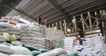 Bị sa thải vì giám định lô gạo gây thiệt hại tiền tỷ, người lao động thua kiện