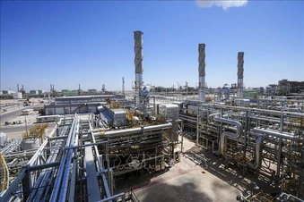 Biến động mạnh trên thị trường dầu mỏ: Giá chạm đỉnh từ năm 2022 trước khi quay đầu lao dốc