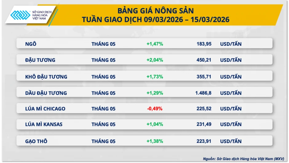 Biến động tại eo biển Hormuz đẩy giá dầu vượt 100 USD Biến động tại eo biển Hormuz đẩy giá dầu vượt 100 USD