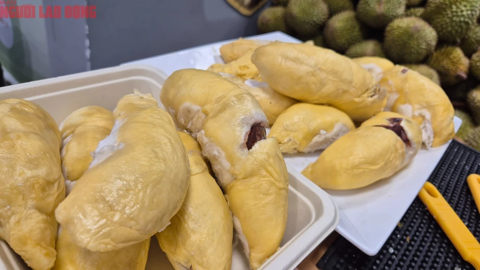 Buffet sầu riêng 2026: Cuộc gặp gỡ bất ngờ với thợ gõ thu nhập 60 triệu đồng/ tháng Buffet sầu riêng 2026: Cuộc gặp gỡ bất ngờ với thợ gõ thu nhập 60 triệu đồng/ tháng