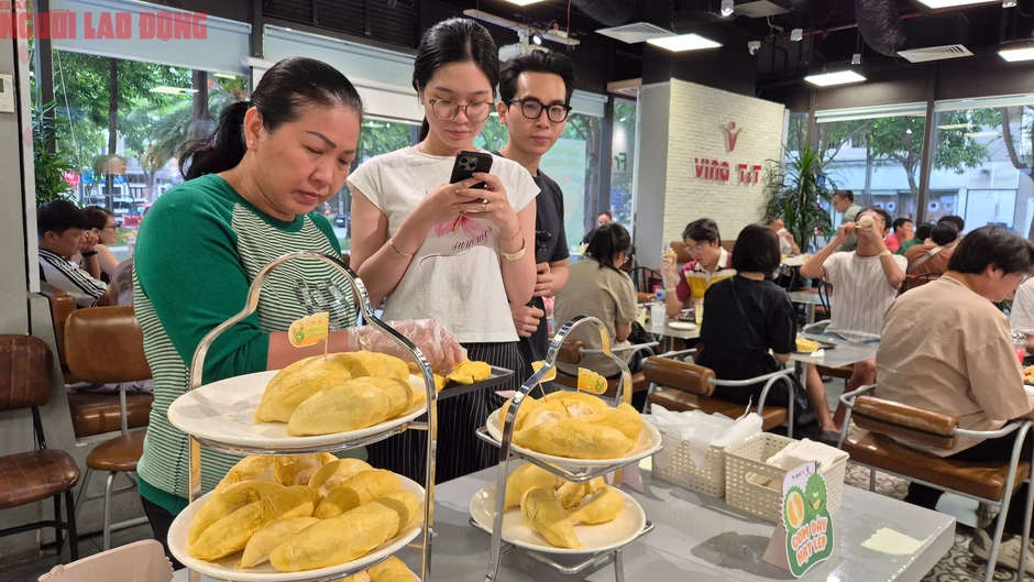 Buffet sầu riêng 2026: Cuộc gặp gỡ bất ngờ với thợ gõ thu nhập 60 triệu đồng/ tháng Buffet sầu riêng 2026: Cuộc gặp gỡ bất ngờ với thợ gõ thu nhập 60 triệu đồng/ tháng