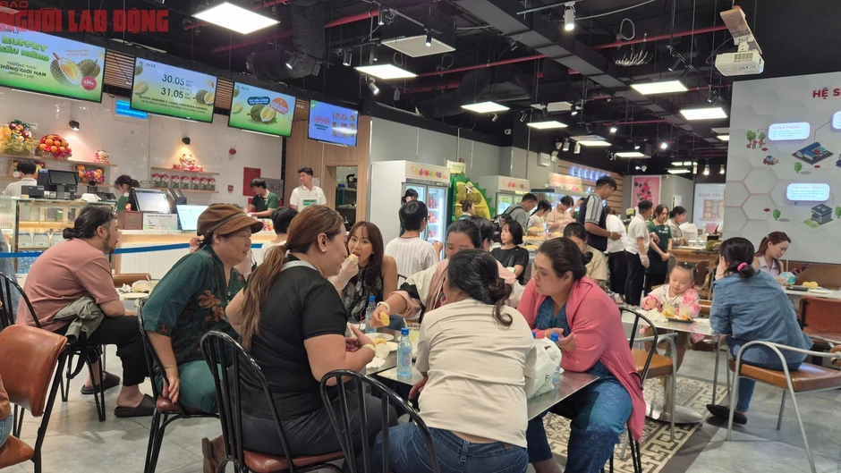 Buffet sầu riêng 2026: Cuộc gặp gỡ bất ngờ với thợ gõ thu nhập 60 triệu đồng/ tháng Buffet sầu riêng 2026: Cuộc gặp gỡ bất ngờ với thợ gõ thu nhập 60 triệu đồng/ tháng