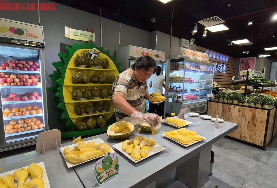 Buffet sầu riêng 2026: Cuộc gặp gỡ bất ngờ với thợ gõ thu nhập 60 triệu đồng/ tháng Buffet sầu riêng 2026: Cuộc gặp gỡ bất ngờ với thợ gõ thu nhập 60 triệu đồng/ tháng