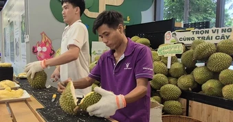 Buffet sầu riêng 2026: Cuộc gặp gỡ bất ngờ với thợ gõ thu nhập 60 triệu đồng/ tháng