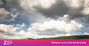 Business Times: EVN đề xuất cắt mạnh giá ưu đãi 173 dự án điện tái tạo