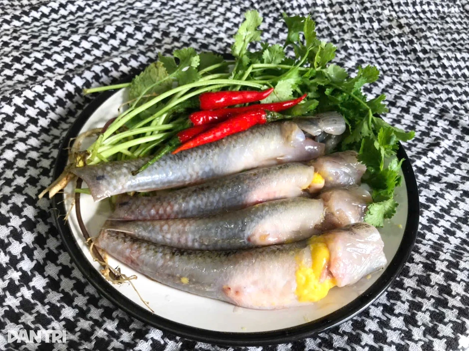 Cá bống trứng cuối mùa, giá tới 800.000/kg vẫn hút khách Cá bống trứng cuối mùa, giá tới 800.000/kg vẫn hút khách