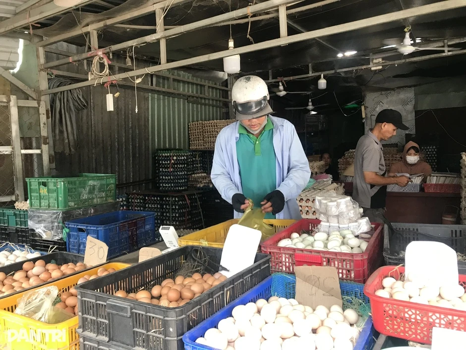 Cá đồng mùa lũ "bắt không kịp bán", giá tăng 20% Cá đồng mùa lũ "bắt không kịp bán", giá tăng 20%
