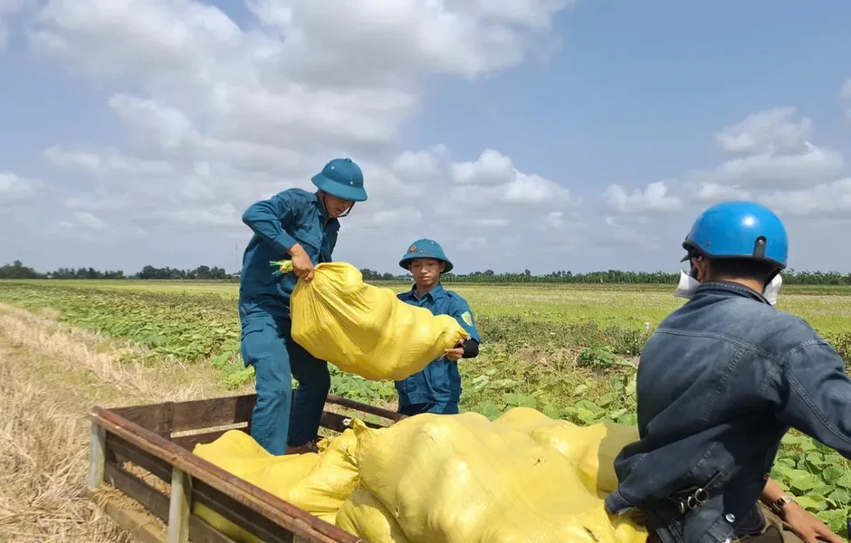 Cà Mau: Bí đỏ... bí đầu ra, địa phương kêu gọi giải cứu Cà Mau: Bí đỏ... bí đầu ra, địa phương kêu gọi giải cứu