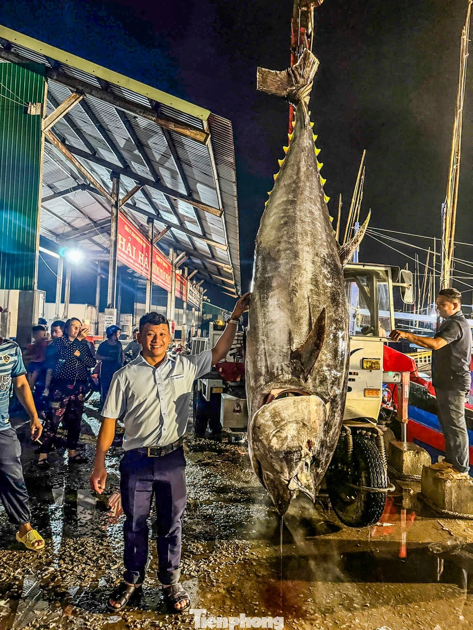 Cận cảnh cá ngừ đại dương nặng cả tạ được cẩu lên bờ sau chuyến biển Cận cảnh cá ngừ đại dương nặng cả tạ được cẩu lên bờ sau chuyến biển