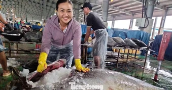Cận cảnh cá ngừ đại dương nặng cả tạ được cẩu lên bờ sau chuyến biển