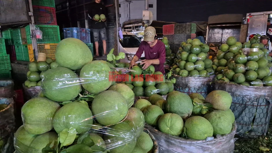 Cận cảnh chợ đầu mối Thủ Đức vào mùa trái cây, ngập sầu riêng, vải, mận Cận cảnh chợ đầu mối Thủ Đức vào mùa trái cây, ngập sầu riêng, vải, mận
