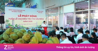 Cần Thơ 'giải cứu' sầu riêng