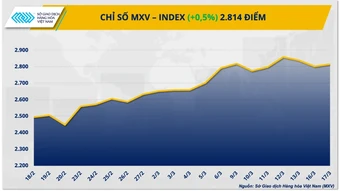 Cảng Fujairah gián đoạn, hiệu ứng domino lan khắp thị trường hàng hóa nguyên liệu