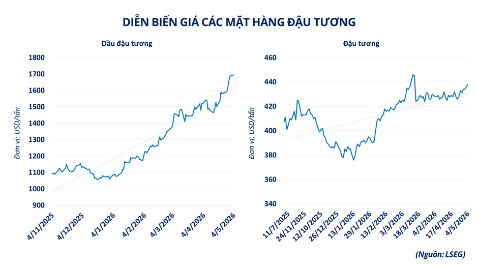 Căng thẳng Trung Đông đẩy thị trường hàng hóa vận động theo trục năng lượng Căng thẳng Trung Đông đẩy thị trường hàng hóa vận động theo trục năng lượng
