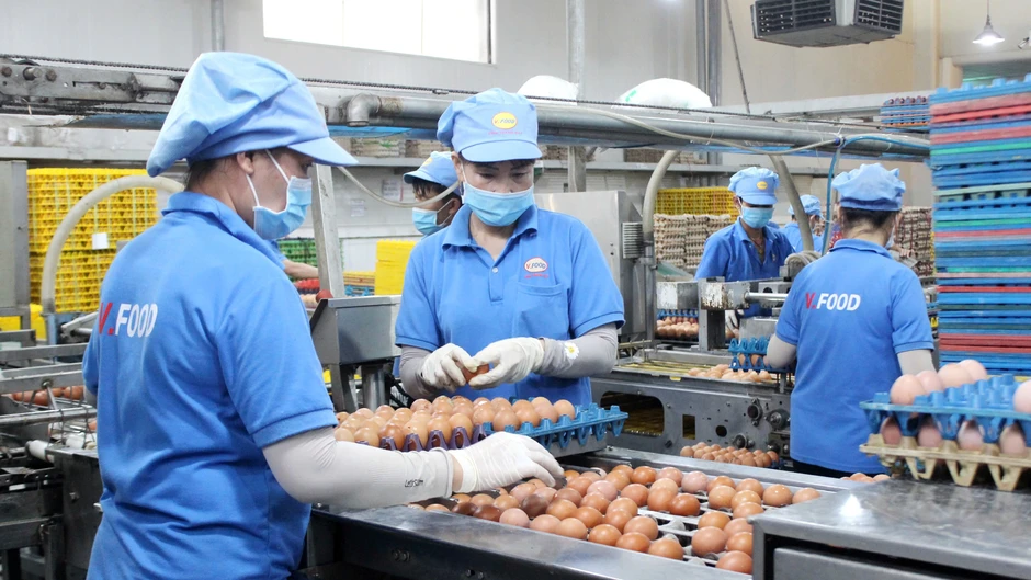 Chăn nuôi gặp khó: Giá gà công nghiệp rẻ hơn bèo Chăn nuôi gặp khó: Giá gà công nghiệp rẻ hơn bèo