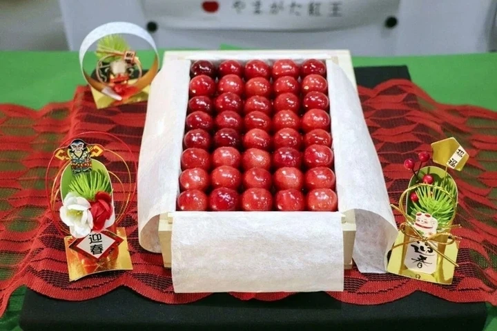Cherry Nhật Bản hơn 4 triệu đồng/trái được trồng cầu kỳ như thế nào? Cherry Nhật Bản hơn 4 triệu đồng/trái được trồng cầu kỳ như thế nào?