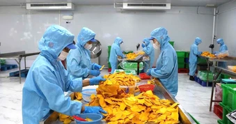 Chi phí logistics tăng mạnh, doanh nghiệp TPHCM dè dặt ký đơn hàng mới