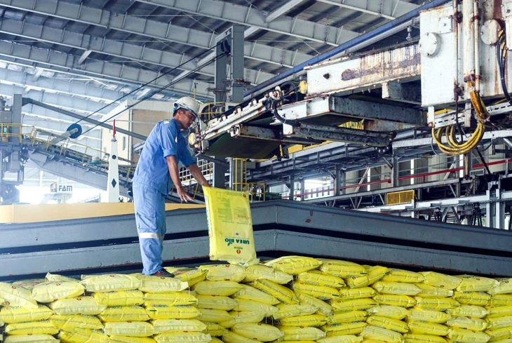 Chủ động nguồn cung để hạn chế tác động từ giá phân bón tăng Chủ động nguồn cung để hạn chế tác động từ giá phân bón tăng