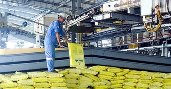Chủ động nguồn cung để hạn chế tác động từ giá phân bón tăng