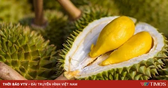 Cơ chế "luồng xanh" mở ra cơ hội lớn cho sầu riêng Việt Nam