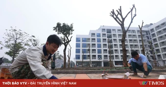 Công bố suất vốn đầu tư và giá xây dựng năm 2025