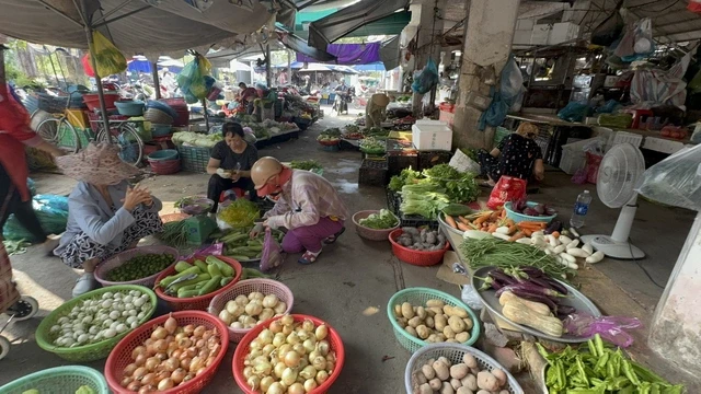 Cùng một loại rau, giá chợ lẻ cao gấp 2-3 lần chợ đầu mối Cùng một loại rau, giá chợ lẻ cao gấp 2-3 lần chợ đầu mối