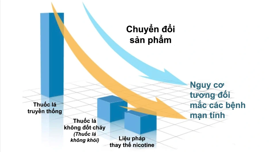 Cuộc cách mạng thị trường nicotine và quá trình tái định hình chính sách toàn cầu