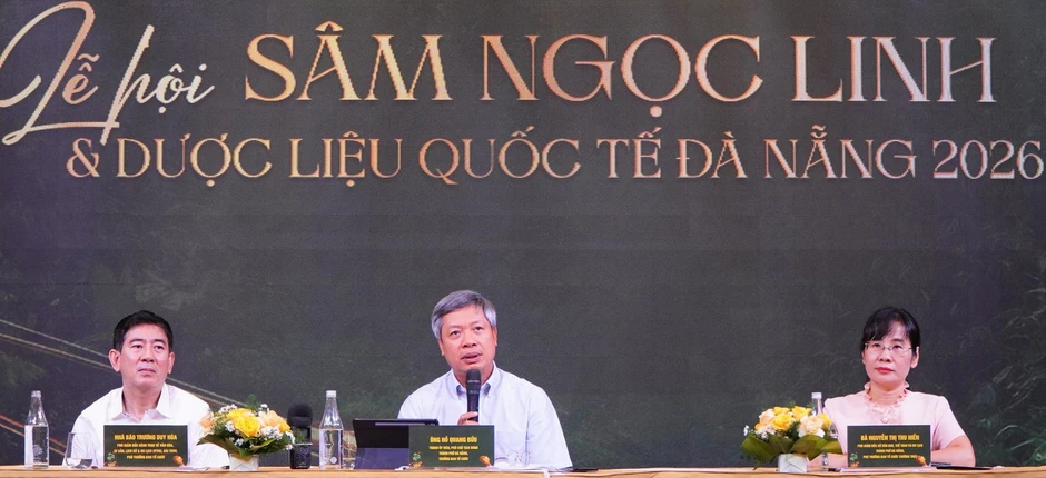 Đà Nẵng cam kết hoàn tiền nếu phát hiện tam thất giả danh sâm Ngọc Linh Đà Nẵng cam kết hoàn tiền nếu phát hiện tam thất giả danh sâm Ngọc Linh