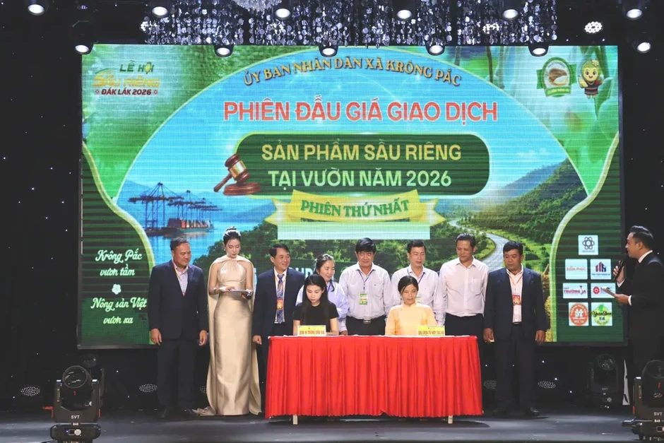 Đắk Lắk lần đầu tổ chức đấu giá sầu riêng tại vườn Đắk Lắk lần đầu tổ chức đấu giá sầu riêng tại vườn