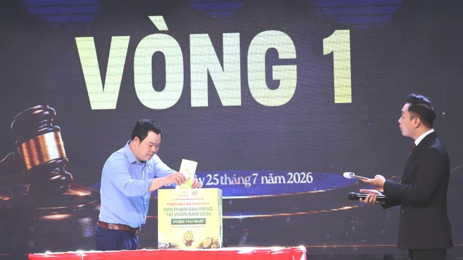 Đắk Lắk lần đầu tổ chức đấu giá sầu riêng tại vườn Đắk Lắk lần đầu tổ chức đấu giá sầu riêng tại vườn