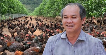 Đàn gà ăn chuối của bầu Đức giờ ra sao?