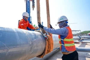 Đắt hơn sầu riêng, loại quả quý hiếm của Việt Nam vừa đón tin vui đầu năm: Xuất khẩu tăng mạnh 52%, trồng ít nhất 3 năm mới được thu hoạch Đắt hơn sầu riêng, loại quả quý hiếm của Việt Nam vừa đón tin vui đầu năm: Xuất khẩu tăng mạnh 52%, trồng ít nhất 3 năm mới được thu hoạch