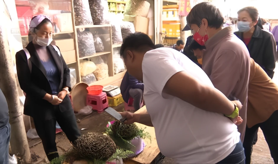 Đắt hơn vàng, nấm quý Trung Quốc giá 1.100 USD/kg khiến giới sành ăn săn lùng Đắt hơn vàng, nấm quý Trung Quốc giá 1.100 USD/kg khiến giới sành ăn săn lùng