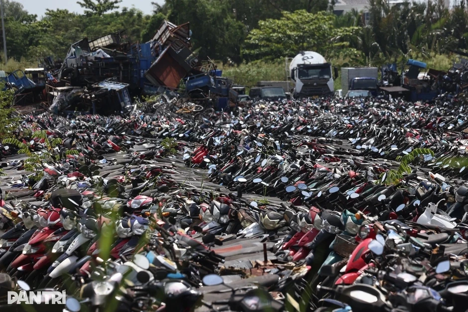 Đấu giá hơn 36.000 xe máy vi phạm ở TPHCM: Bất ngờ giá trúng