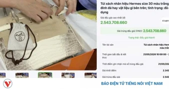 Đấu giá thành công 2 túi Hermès bạch tạng của Trương Mỹ Lan, thu hơn 14 tỷ đồng